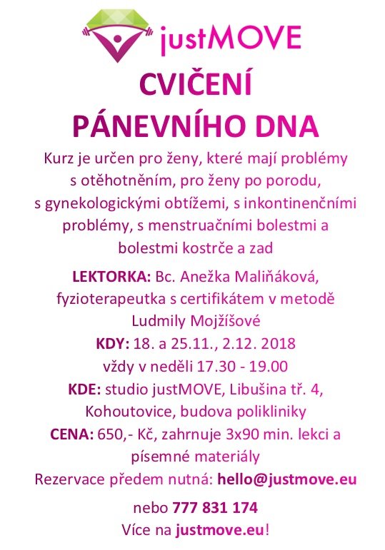 alternativní text