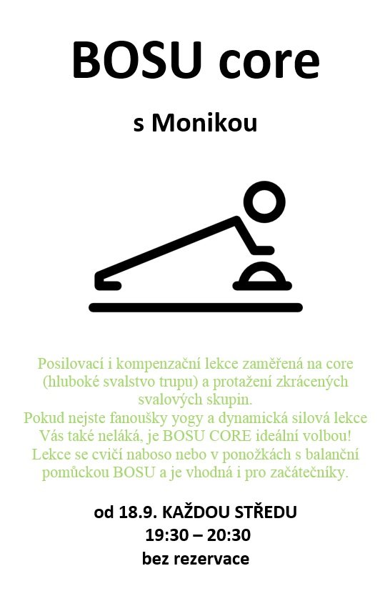 alternativní text